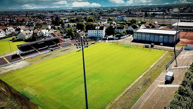 在这些冰雕 在这些冰雕