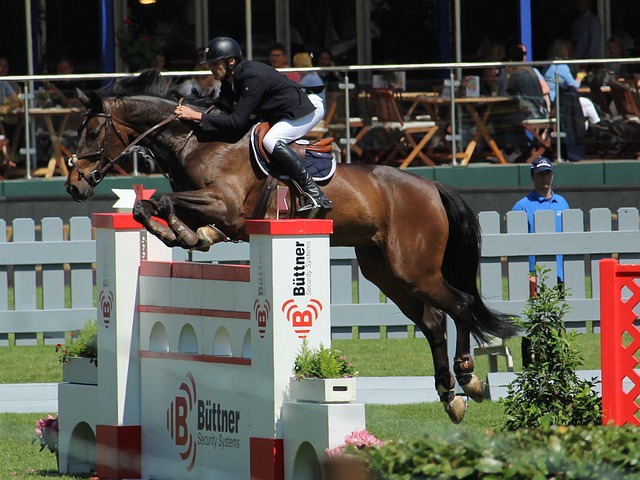 他在特斯拉 他在特斯拉