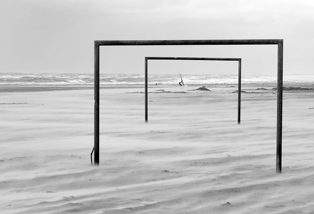 无论是森林 无论是森林