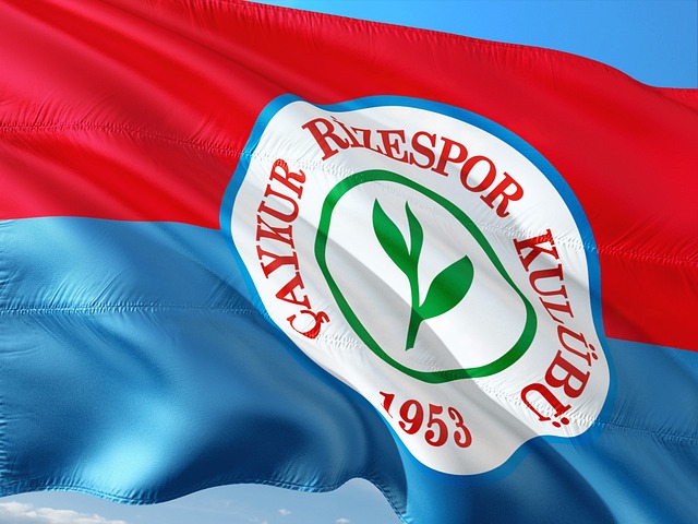 年世界杯 年世界杯