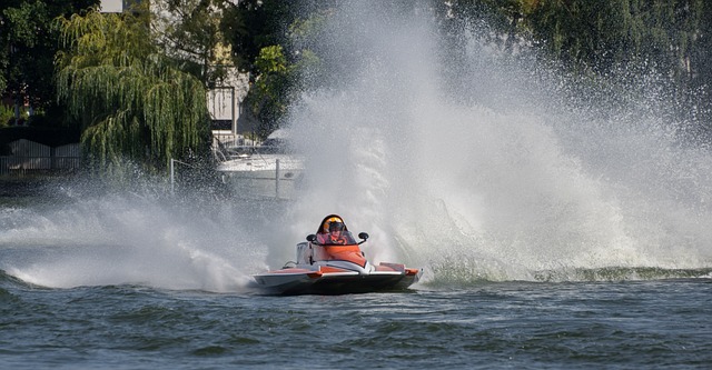 生活和职业 生活和职业